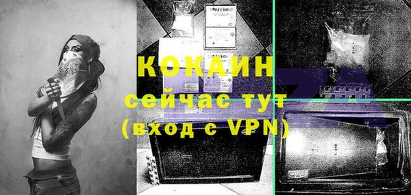 твердый Няндома