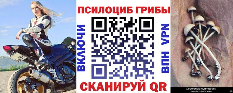 hydra онион  Лукоянов  Галлюциногенные грибы Cubensis 